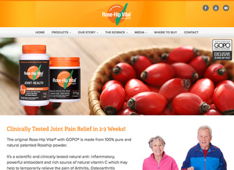 Hypermagix Studios Portfolio - Item 5