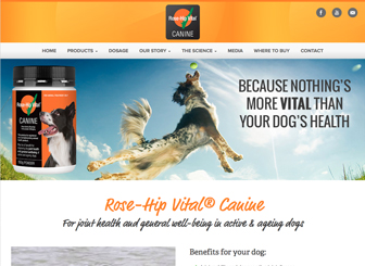 Hypermagix Studios Portfolio - Item 42